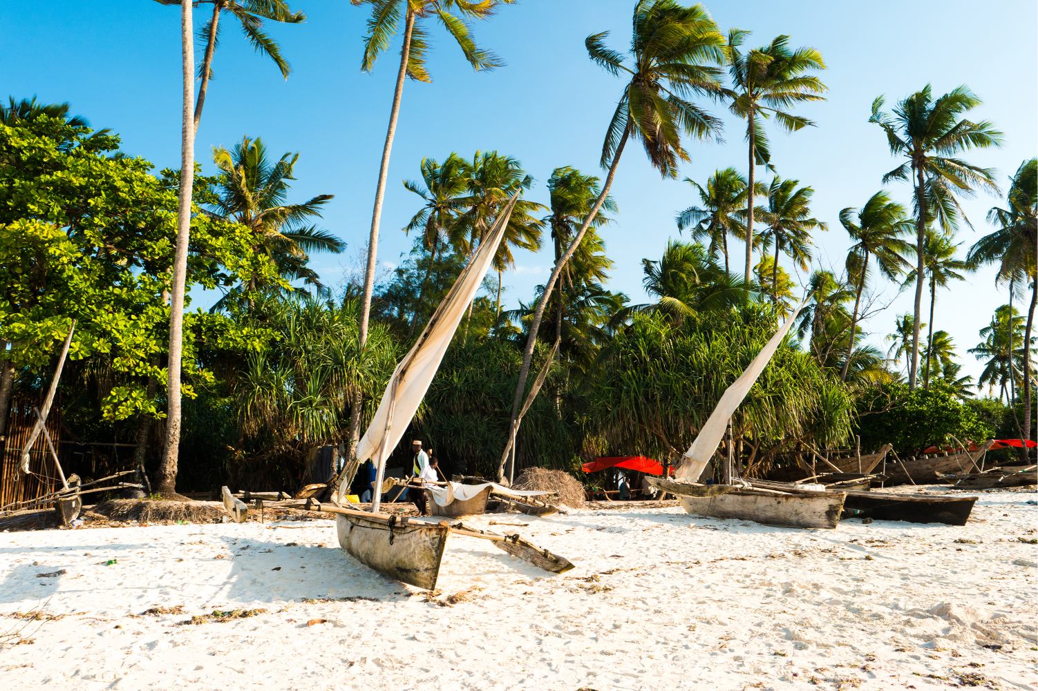 10 Days Tanzania Safari + Zanzibar – Ultimate Wildlife & Beach Experience