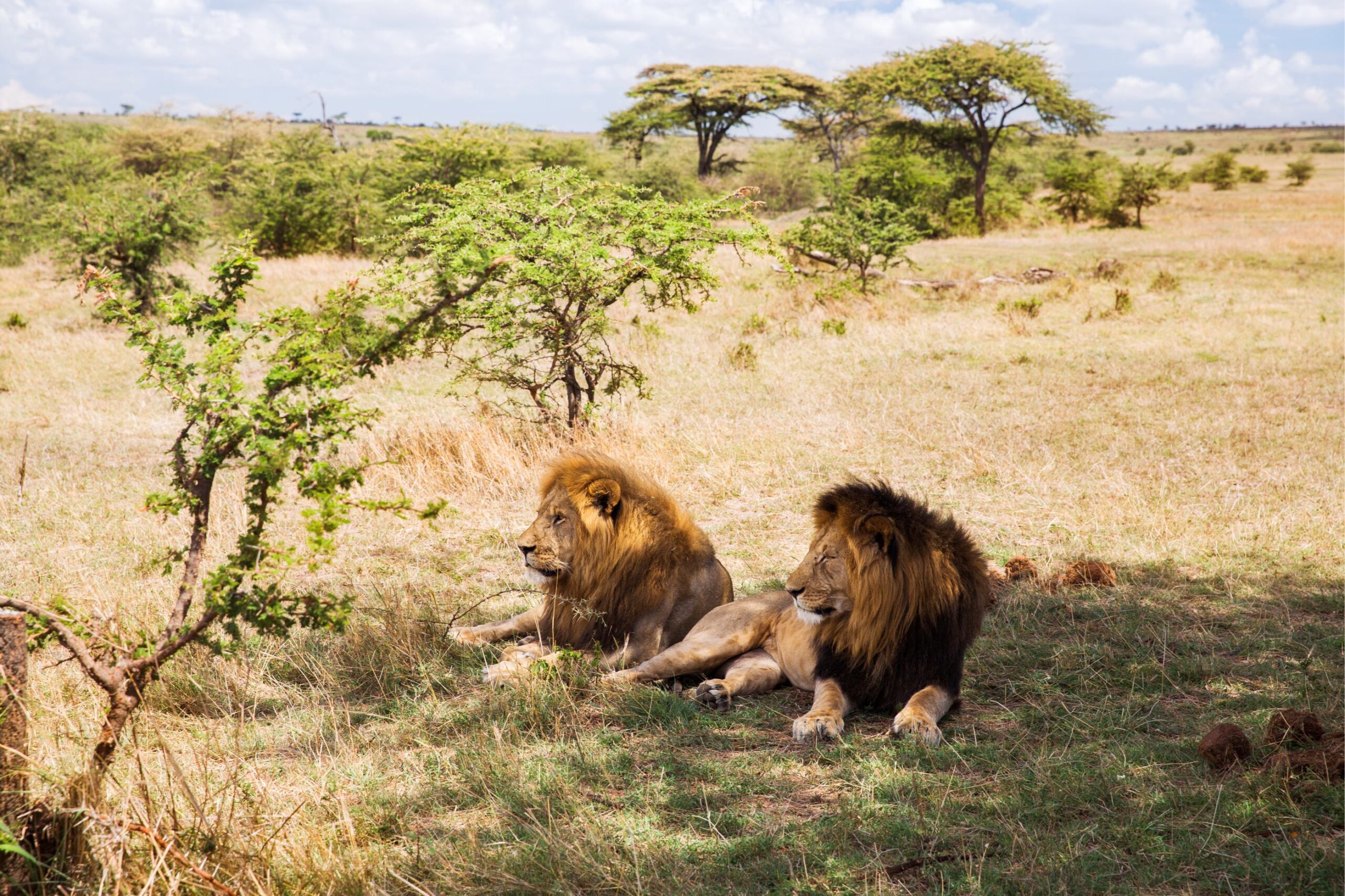 Serengeti National Park