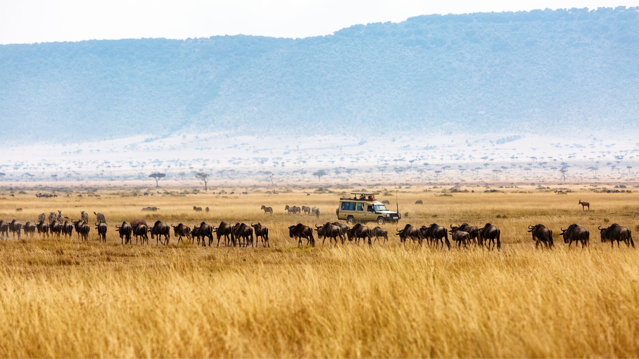 6 Days Tanzania Safari – Complete Serengeti, Ngorongoro & Tarangire Wildlife Adventure