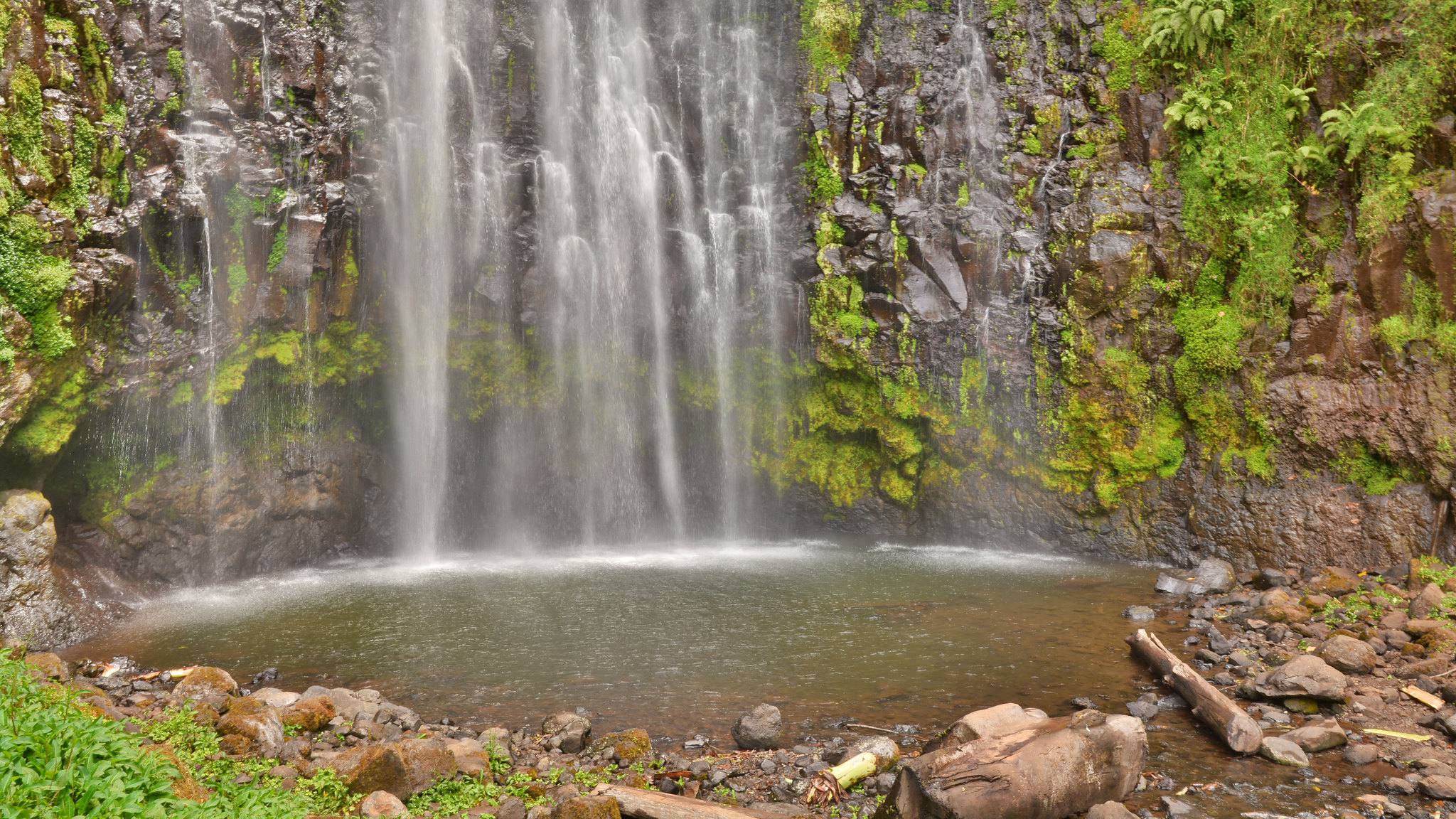 Materuni Waterfalls and Coffee Tour – Best Cultural & Nature Day Trip 