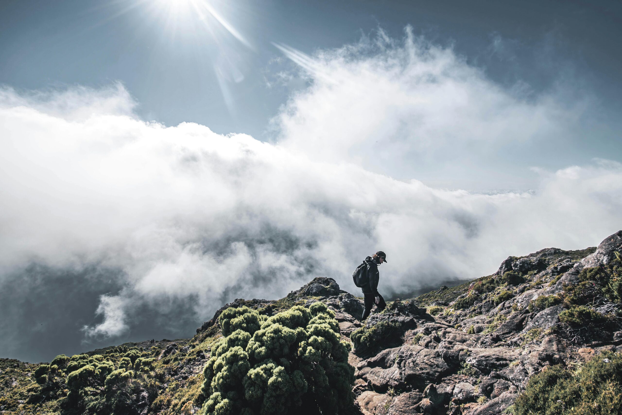 5 Days Marangu Route – Detailed Kilimanjaro Climb Itinerary (Coca-Cola Route)