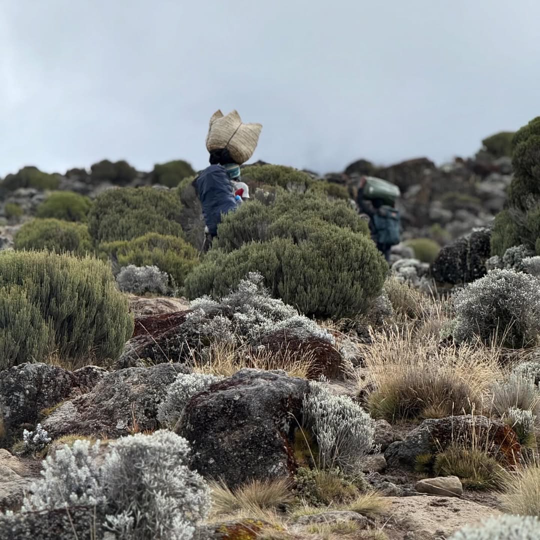 Mount Kilimanjaro climbing